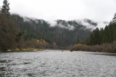 DSC_0166 (Large).JPG